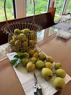 Green tropical pear jam